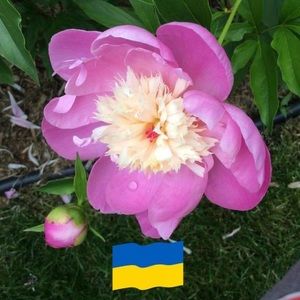 Meet your Posher, Guylaine